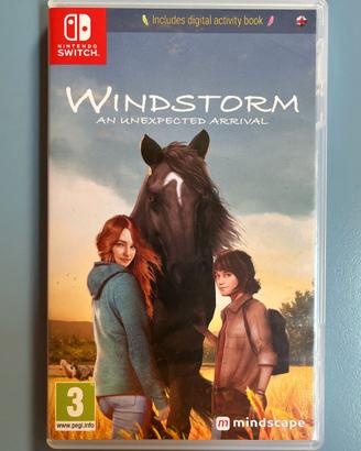 Gioco WINDSTORM Nintendo Switch