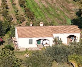 Casa indipendente con ampio terreno