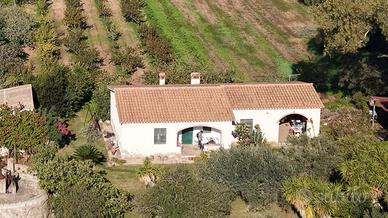 Casa indipendente con ampio terreno