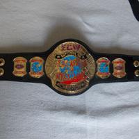 WRESTLING MINI CINTURA ECW