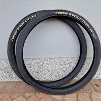 Copertoni bici MTB Vittoria Evolution 29x1,9 
