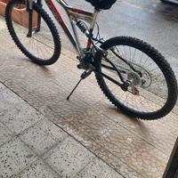 Bici topbike