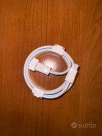 Apple cavo da USB-C ricarica veloce