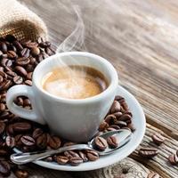 Bar Gelateria Pasticceria con Laboratorio