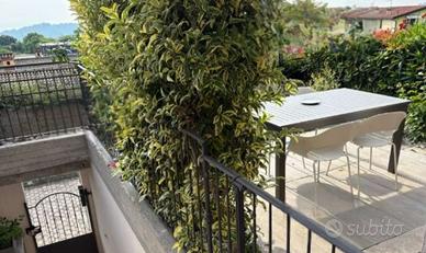 Appartamento a Lonato del Garda (BS)
