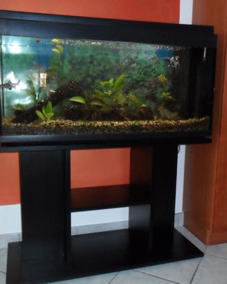 acquario