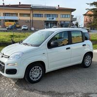 Fiat Panda aziendale iva esposta