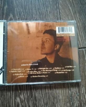David Sylvian brilliant trees/dead bees on a cake