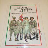 la guerra italo austriaca 1915-1918 no elmetto 