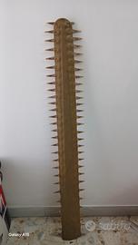 rostro di pesce sega vintage