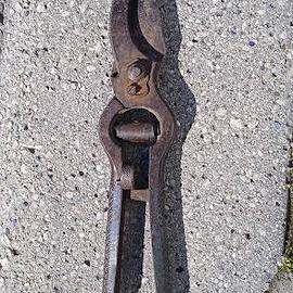 zappe e forbici da potatura