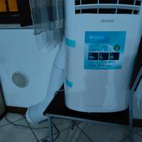 climatizzatore e pinguini
