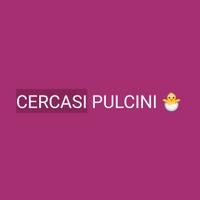 Pulcini
