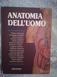 Libro anatomia dell'uomo edizione edi-ermes