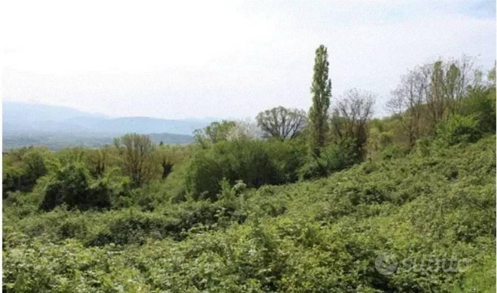 Immobile in asta di 6330 m² a Greccio - Vista 2
