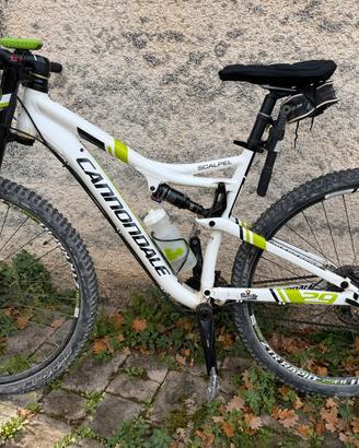 Cannondale Scalpel lefty

