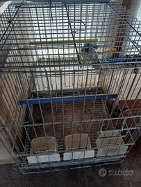 Pappagalliere/trasportini per pappagalli