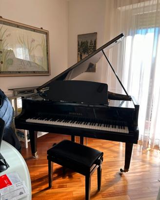Pianoforte mezza coda