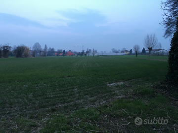 Terreno agricolo con rustico annesso