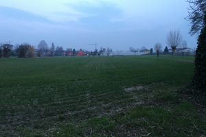 Terreno agricolo con rustico annesso