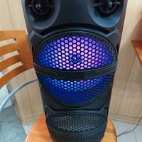 cassa bluetooth amplificata portatile 