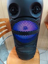 cassa bluetooth amplificata portatile 