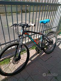MOUNTAIN BIKE CARRARO Comp 