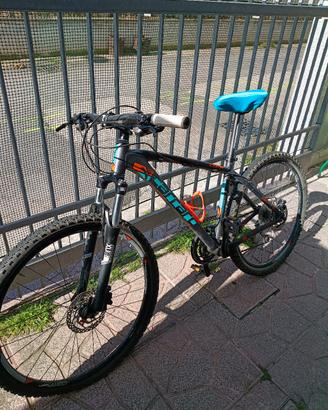 MOUNTAIN BIKE CARRARO Comp 