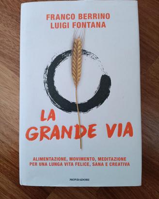La grande via Franco Berrino Luigi Fontana