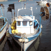 Barca da pesca con licenza