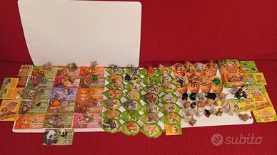 Lotto 73 Cucciolicercamici