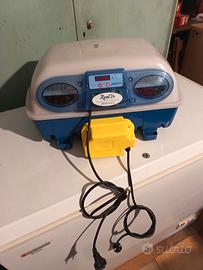 incubatrice borotto
