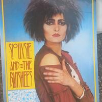 siouxsie and the banshees