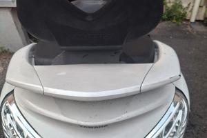 Majesty 400   2009 Marciante . 