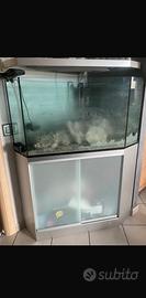 Acquario marino