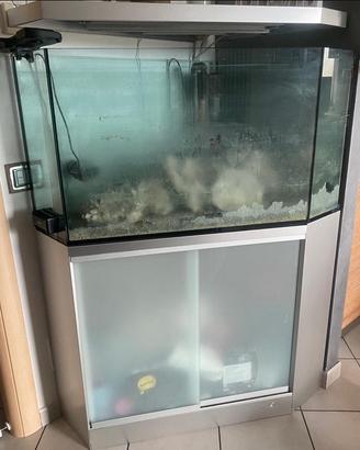 Acquario marino