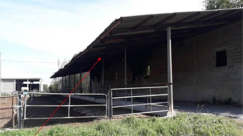 Immobile in asta di 460 m² a Arena Po - Vista 2