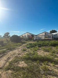 Terreno agricolo