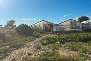 Terreno agricolo