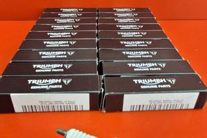 CANDELA ACCENSIONE TRIUMPH