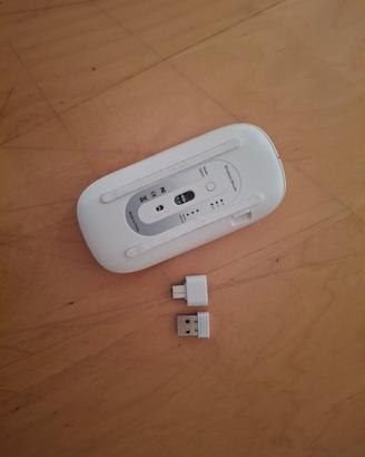 Mouse Bluetooth e USB