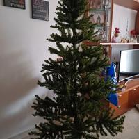 Albero di natale cm 210