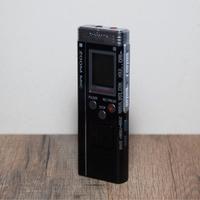 Zoom Mic Panasonic RR-US590