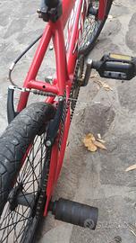 BMX Olmo