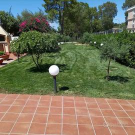 Giardiniere qualificato e potatore specializzato