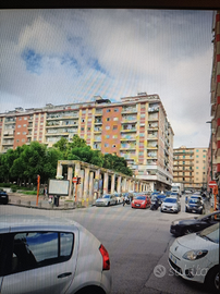 Fuorigrotta centralissimo