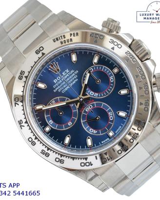 ROLEX Daytona 116509 Factory blue dial white gold