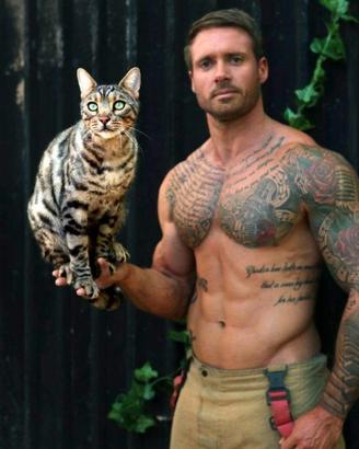 Bengal.Adoradili vivachi cucioli