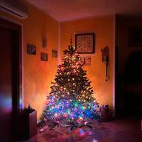 Albero di Natale 