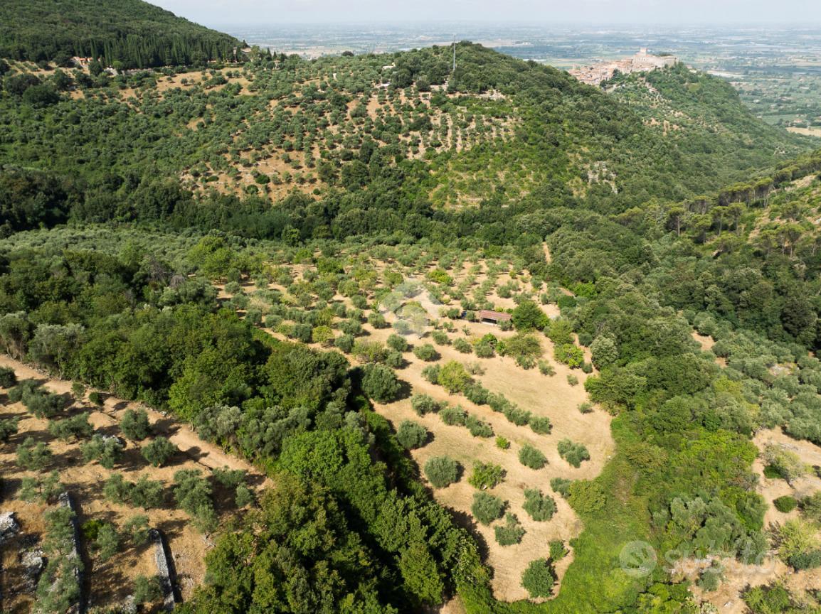 TER. AGRICOLO A SERMONETA - Vista 5